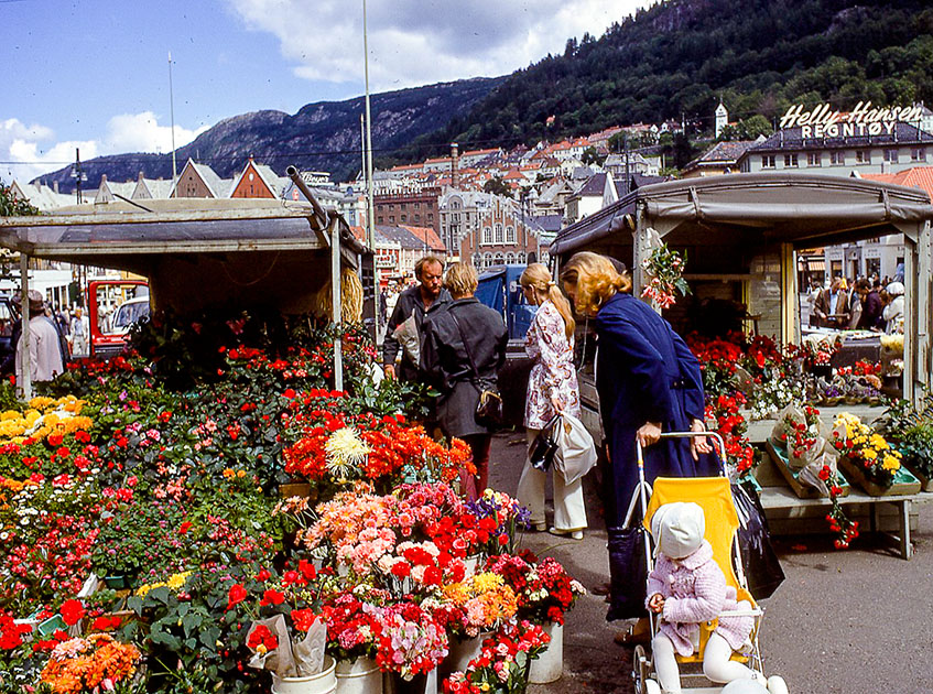 scandanavia 2 000146