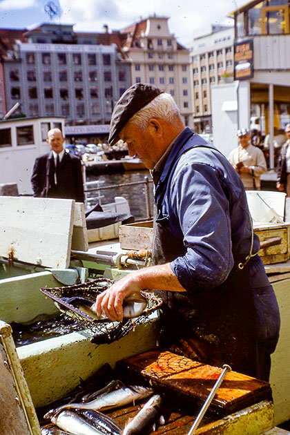 scandanavia 2 000148