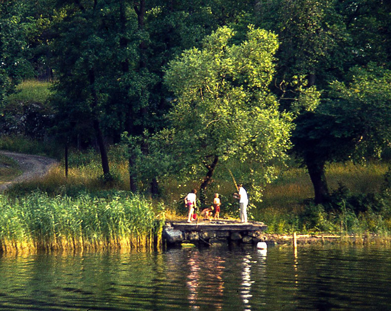 scandanavia 2 000153