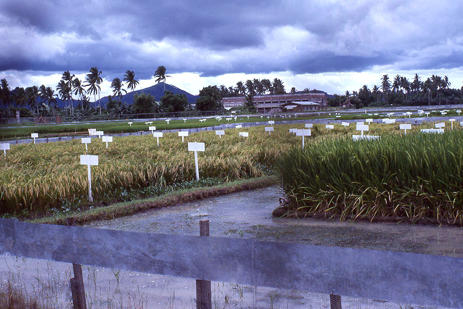 south east asia 1 00036