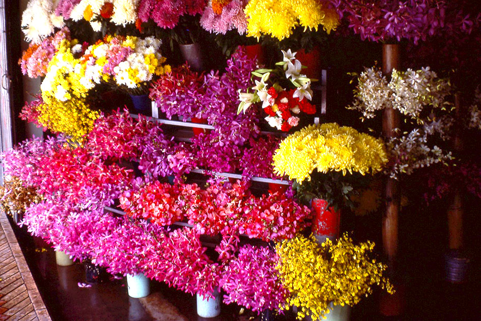 south east asia 1 00063