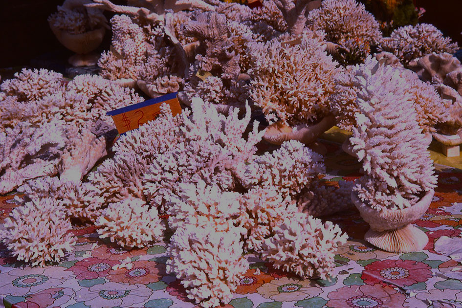 south east asia 1 00080