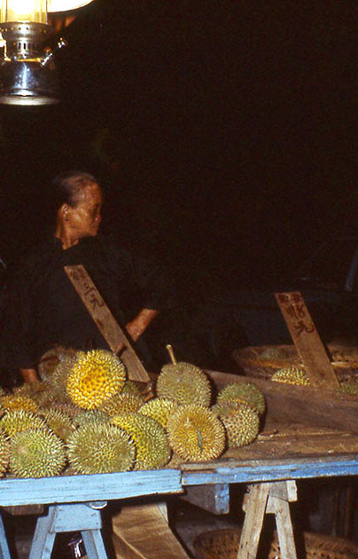 south east asia 1 00099