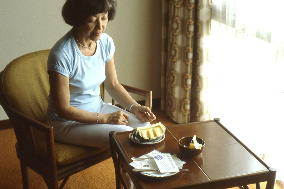 south east asia 1 00133