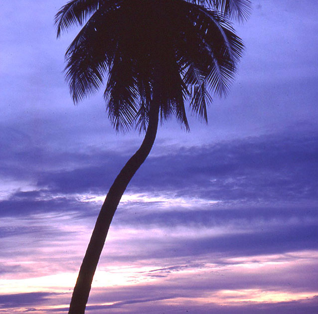 south east asia 1 00138