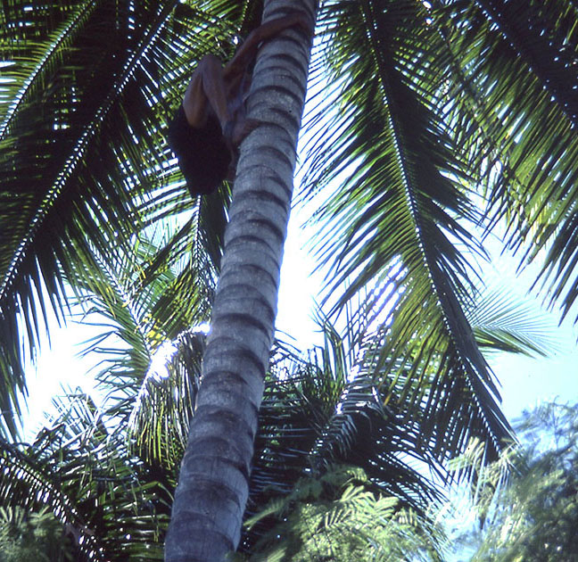 south east asia 2 00053