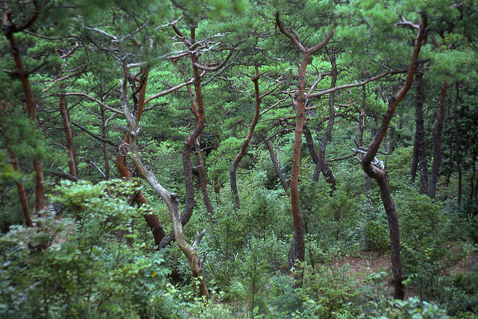 south east asia 2 00101