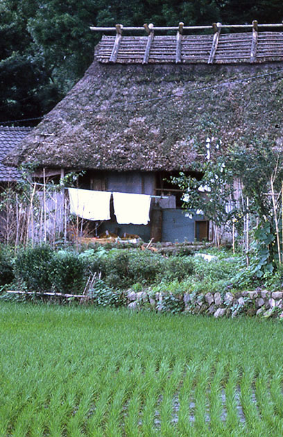 south east asia 2 00103