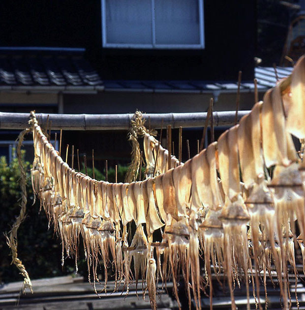 south east asia 2 00113