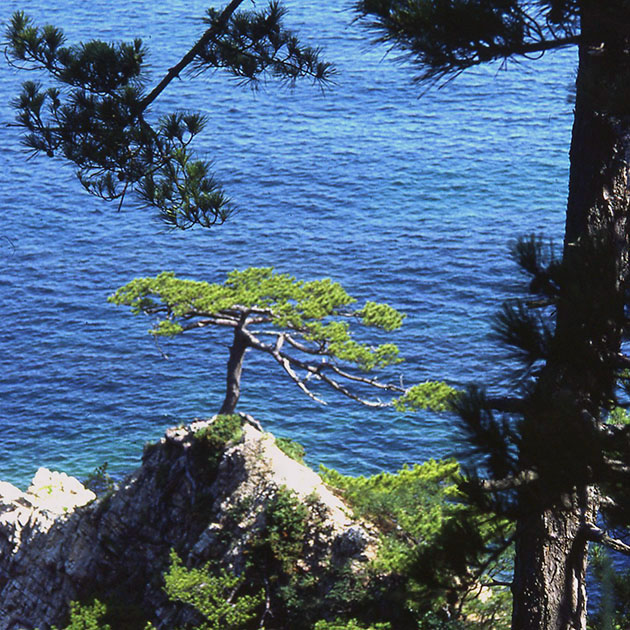 south east asia 2 00114