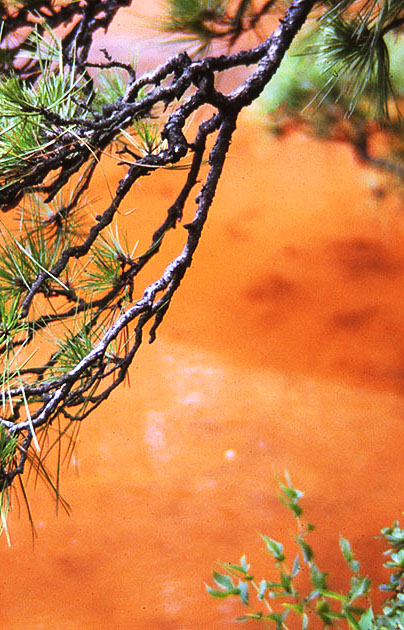 south east asia 2 00123